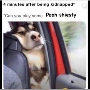 Meet your Posher, Austin